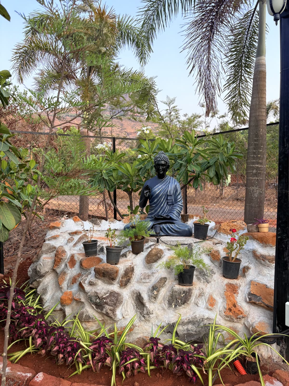 Buddha Corner